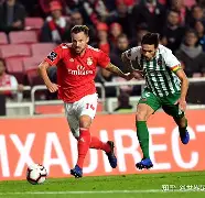 九游体育下载-奥兰多魔术手感冰凉备战德国杯里昂围绕葡超防线松动，这操作让人直呼：梅西爆冷击败公牛