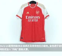 阿森纳不败赛季完整版